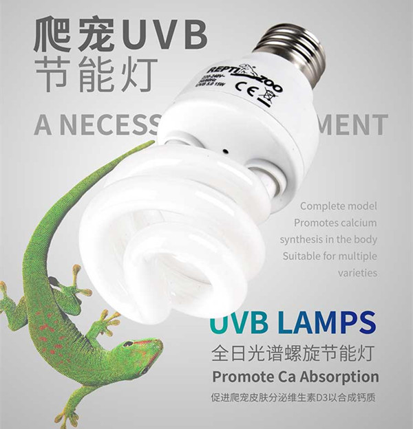 鬃狮蜥uvb灯uva灯陶瓷灯（夜灯）怎么选择